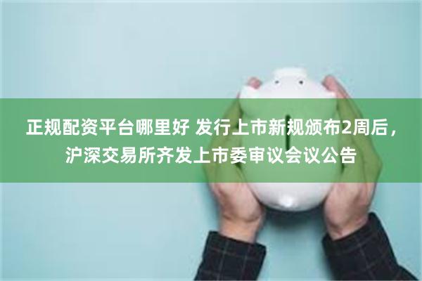 正规配资平台哪里好 发行上市新规颁布2周后，沪深交易所齐发上市委审议会议公告