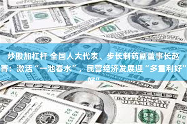 炒股加杠杆 全国人大代表、步长制药副董事长赵菁：激活“一池春水”，民营经济发展迎“多重利好”