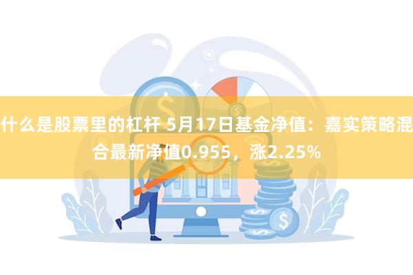 什么是股票里的杠杆 5月17日基金净值：嘉实策略混合最新净值0.955，涨2.25%