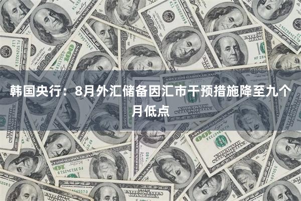 韩国央行：8月外汇储备因汇市干预措施降至九个月低点