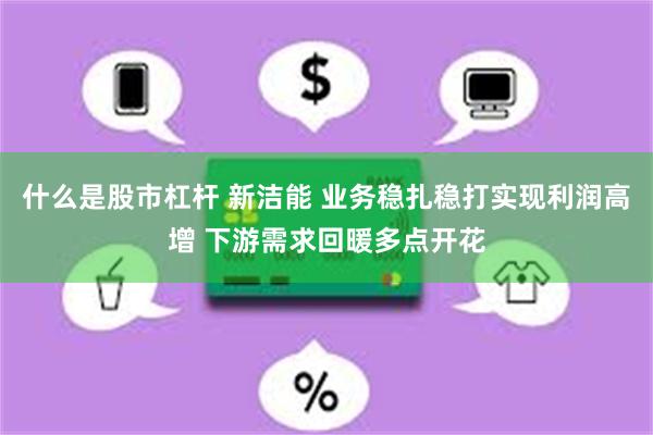 什么是股市杠杆 新洁能 业务稳扎稳打实现利润高增 下游需求回暖多点开花