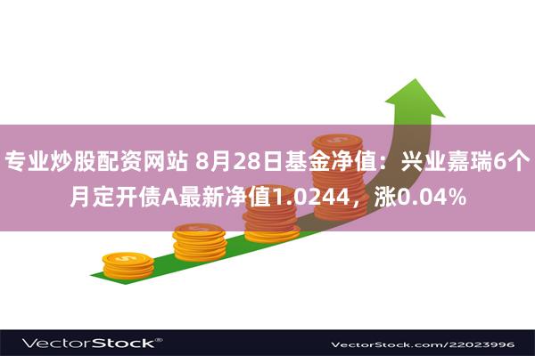 专业炒股配资网站 8月28日基金净值：兴业嘉瑞6个月定开债A最新净值1.0244，涨0.04%