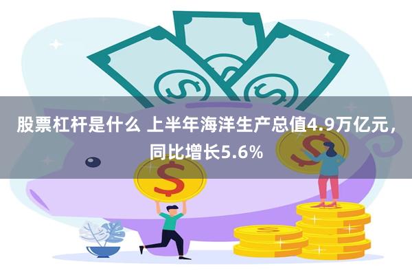 股票杠杆是什么 上半年海洋生产总值4.9万亿元，同比增长5.6%