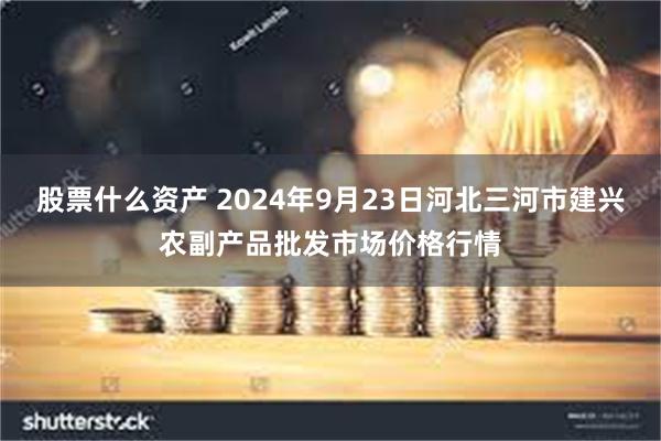 股票什么资产 2024年9月23日河北三河市建兴农副产品批发市场价格行情