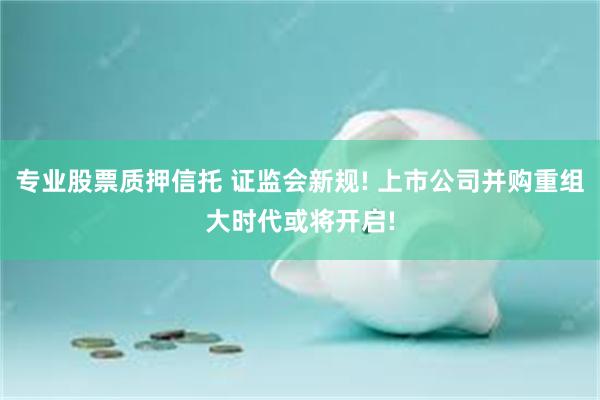 专业股票质押信托 证监会新规! 上市公司并购重组大时代或将开启!