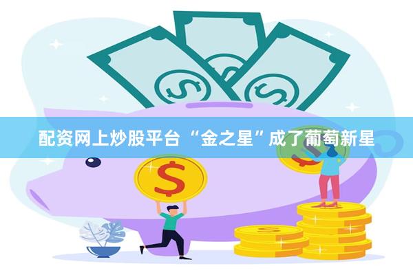 配资网上炒股平台 “金之星”成了葡萄新星