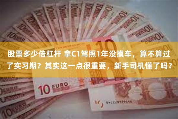 股票多少倍杠杆 拿C1驾照1年没摸车，算不算过了实习期？其实这一点很重要，新手司机懂了吗？