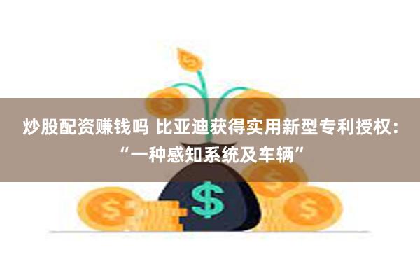 炒股配资赚钱吗 比亚迪获得实用新型专利授权：“一种感知系统及车辆”