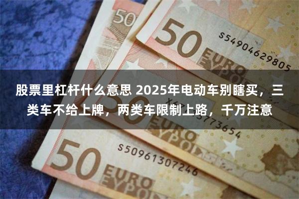 股票里杠杆什么意思 2025年电动车别瞎买，三类车不给上牌，两类车限制上路，千万注意