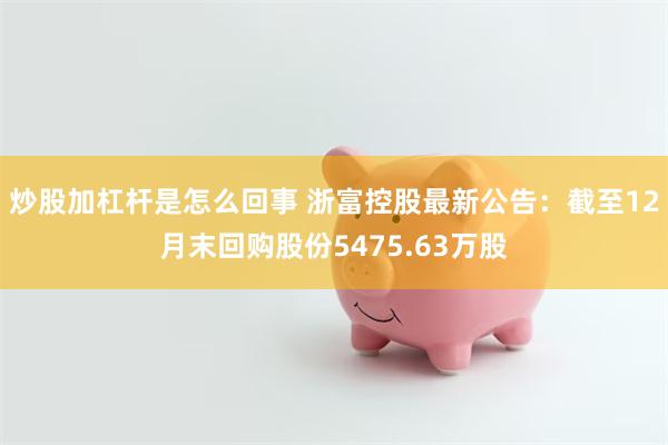 炒股加杠杆是怎么回事 浙富控股最新公告：截至12月末回购股份5475.63万股