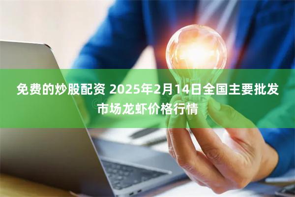 免费的炒股配资 2025年2月14日全国主要批发市场龙虾价格行情