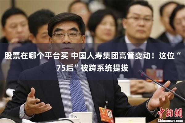 股票在哪个平台买 中国人寿集团高管变动！这位“75后”被跨系统提拔