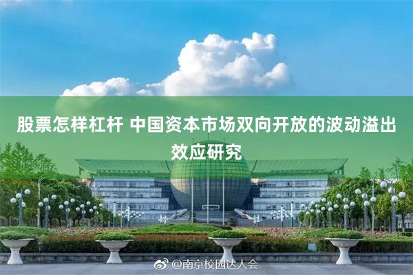 股票怎样杠杆 中国资本市场双向开放的波动溢出效应研究