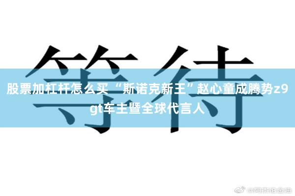 股票加杠杆怎么买 “斯诺克新王”赵心童成腾势z9gt车主暨全球代言人