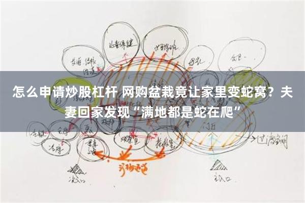 怎么申请炒股杠杆 网购盆栽竟让家里变蛇窝？夫妻回家发现“满地都是蛇在爬”