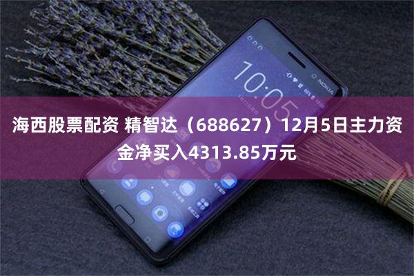 海西股票配资 精智达（688627）12月5日主力资金净买入4313.85万元