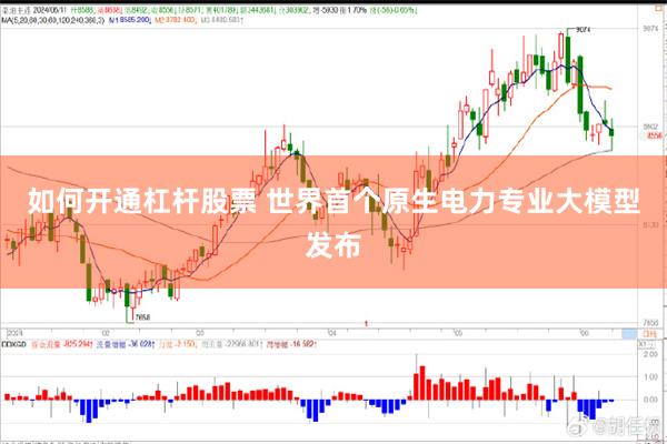 如何开通杠杆股票 世界首个原生电力专业大模型发布