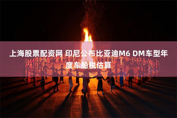 上海股票配资网 印尼公布比亚迪M6 DM车型年度车船税估算