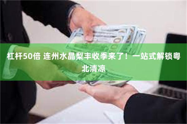 杠杆50倍 连州水晶梨丰收季来了！一站式解锁粤北清凉
