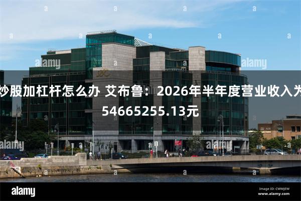 炒股加杠杆怎么办 艾布鲁：2026年半年度营业收入为54665255.13元